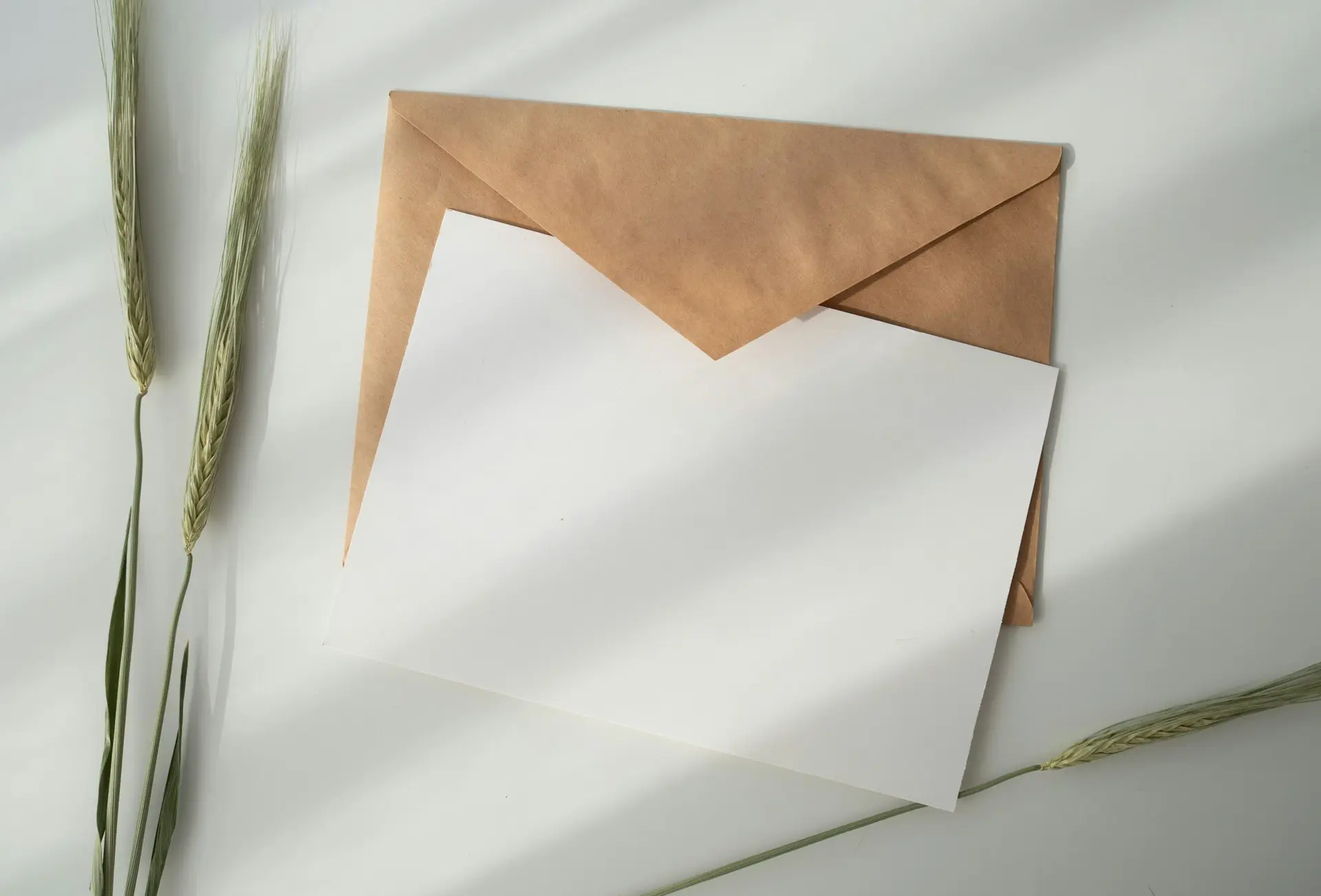 white paper and brown envelope